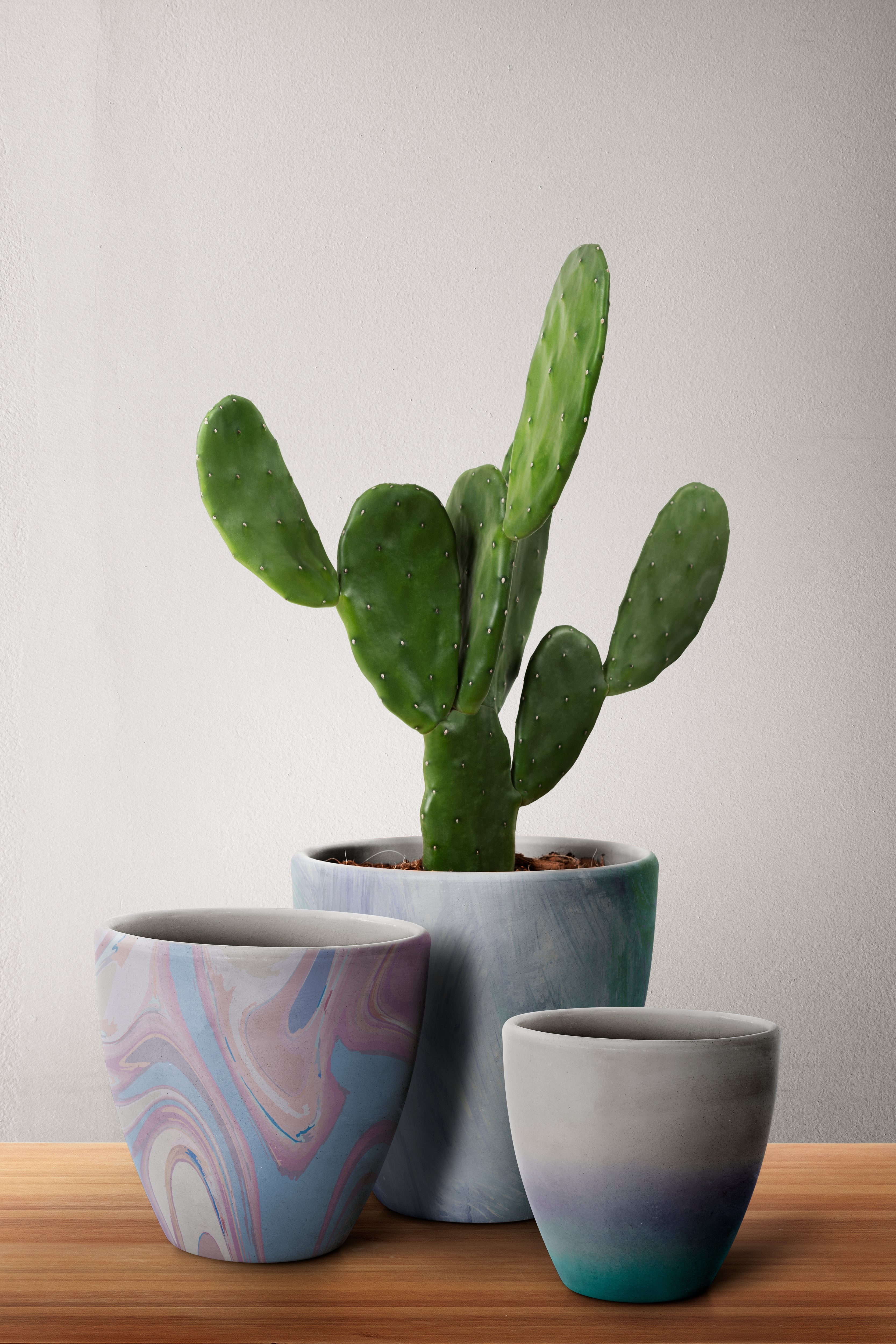 Clay & Ceramic Pots